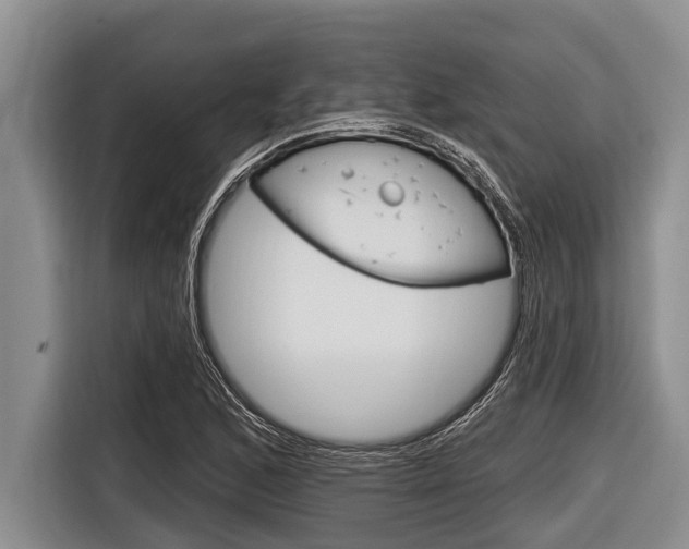 X0000116831168200912181048