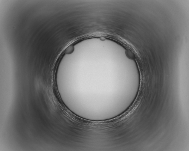 X0000116831170200912181048