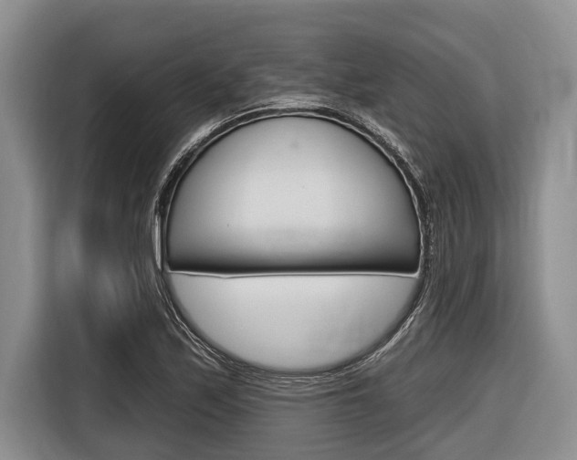 X0000116831171200912181048