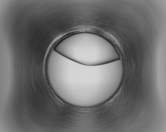 X0000116831172200912181048