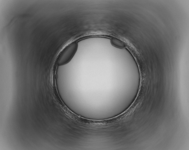 X0000116831173200912181048