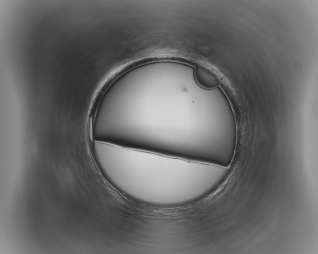 X0000116831175200912181048