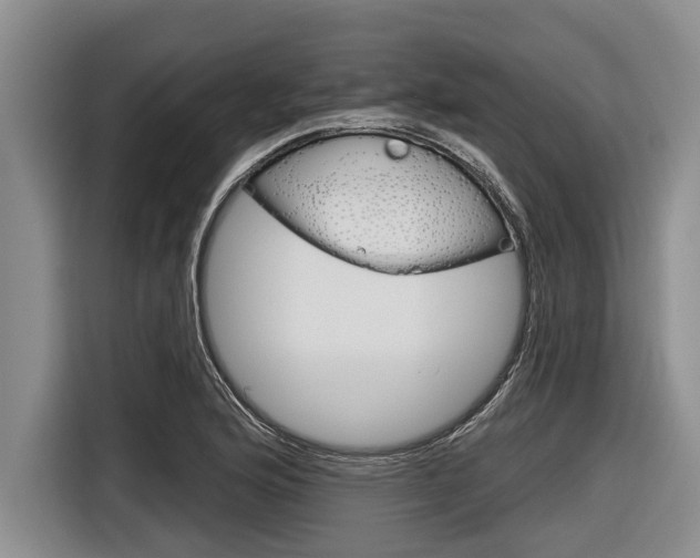 X0000116831176200912181048
