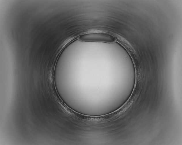 X0000116831177200912181048