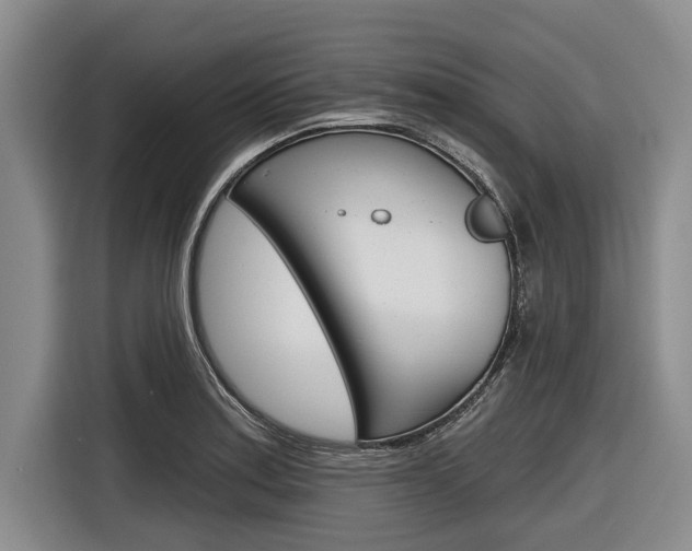 X0000116831179200912181048