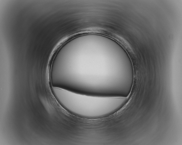 X0000116831180200912181048