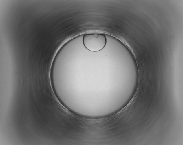 X0000116831181200912181048