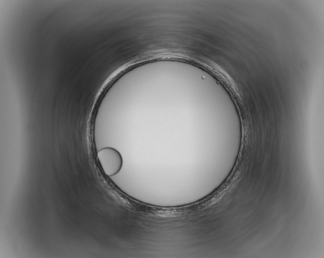 X0000116831182200912181048