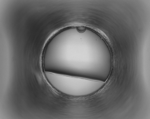 X0000116831183200912181048
