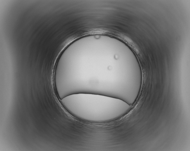 X0000116831186200912181048