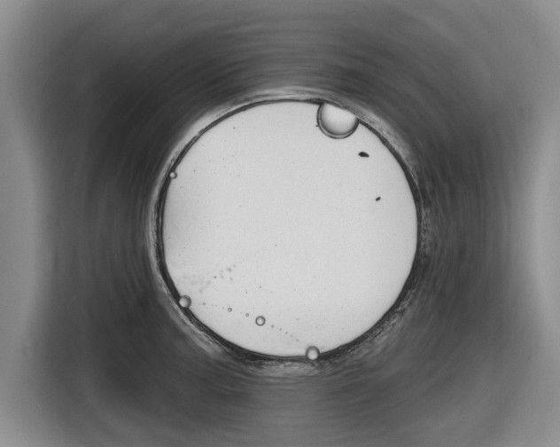 X0000116831187200912181048