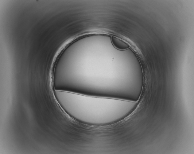 X0000116831188200912181048