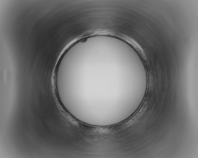 X0000116831190200912181048