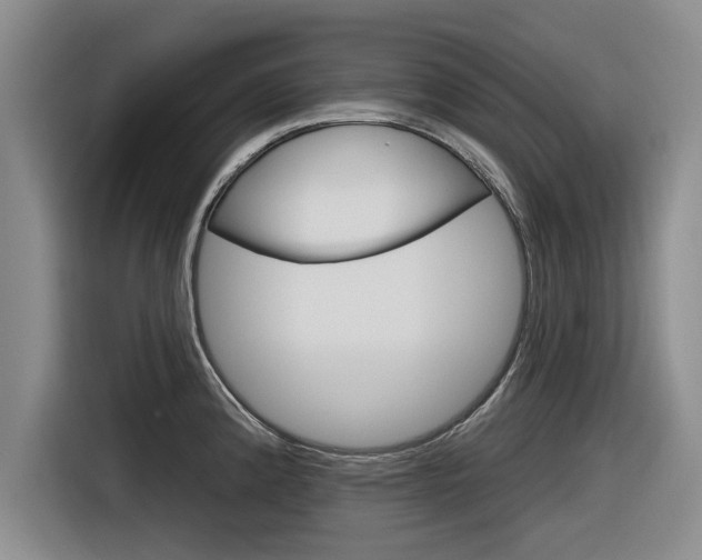 X0000116831192200912181048