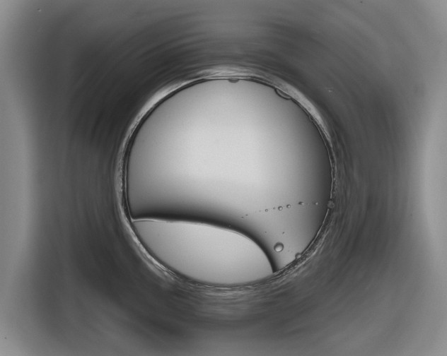 X0000116831195200912181048