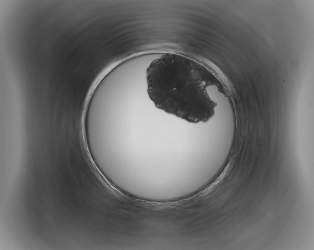 X0000116831196200912181048