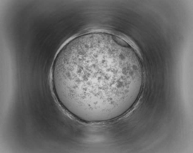X0000116831198200912181048