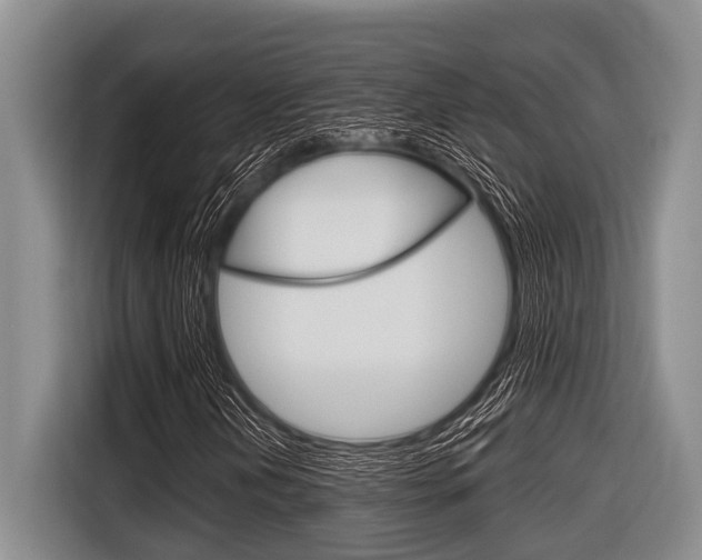 X0000116831202200912181047