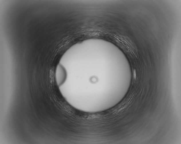 X0000116831203200912181047