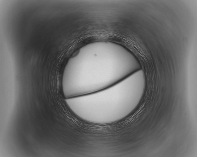 X0000116831204200912181047