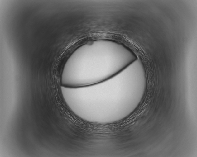 X0000116831206200912181047