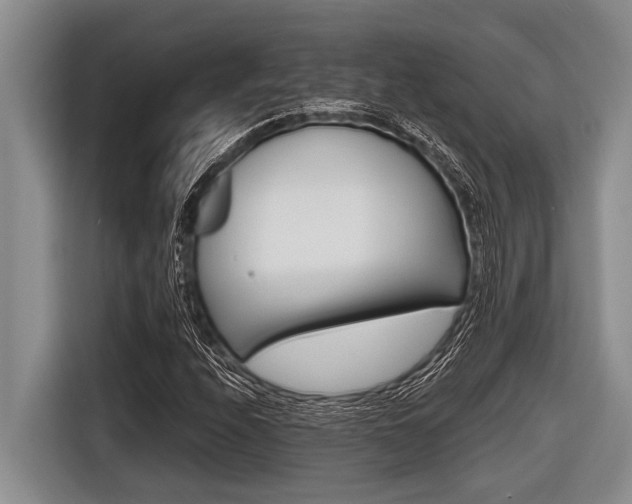 X0000116831208200912181047