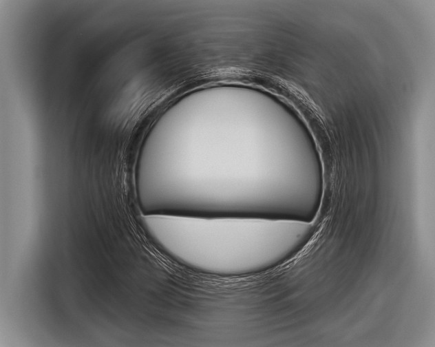X0000116831209200912181047