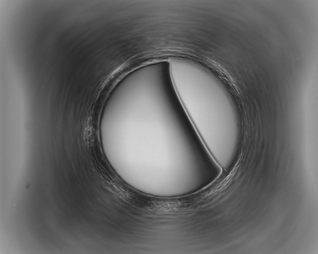 X0000116831210200912181047