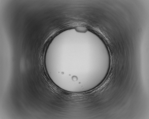 X0000116831211200912181047