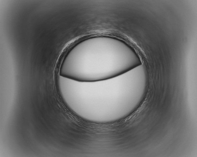 X0000116831214200912181047