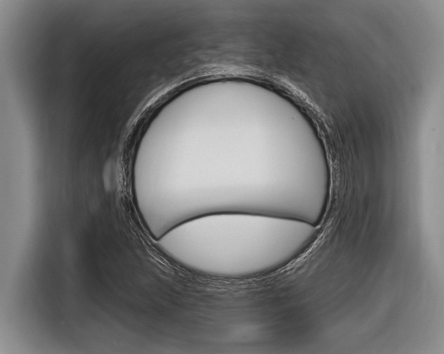 X0000116831215200912181047