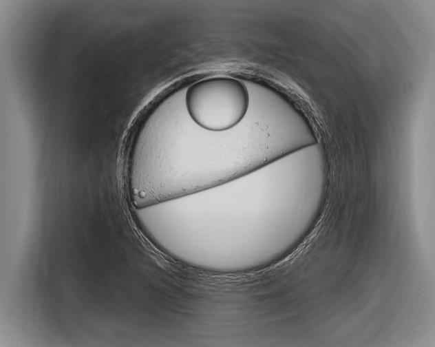 X0000116831216200912181047