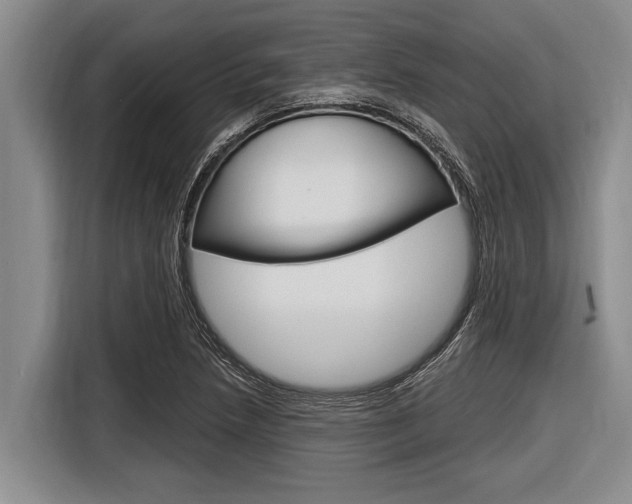 X0000116831218200912181047