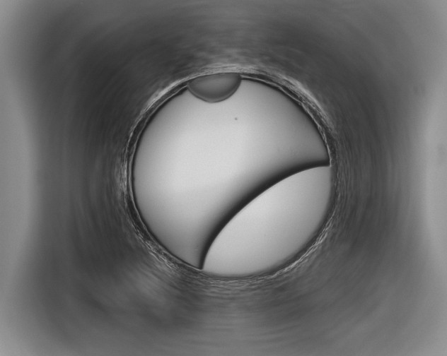 X0000116831220200912181047