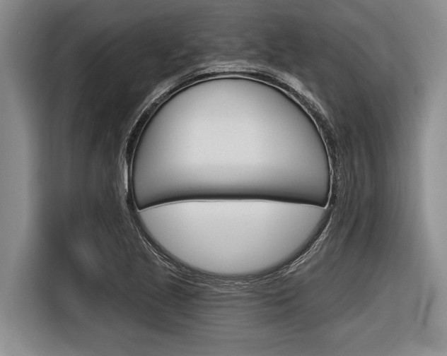 X0000116831221200912181047