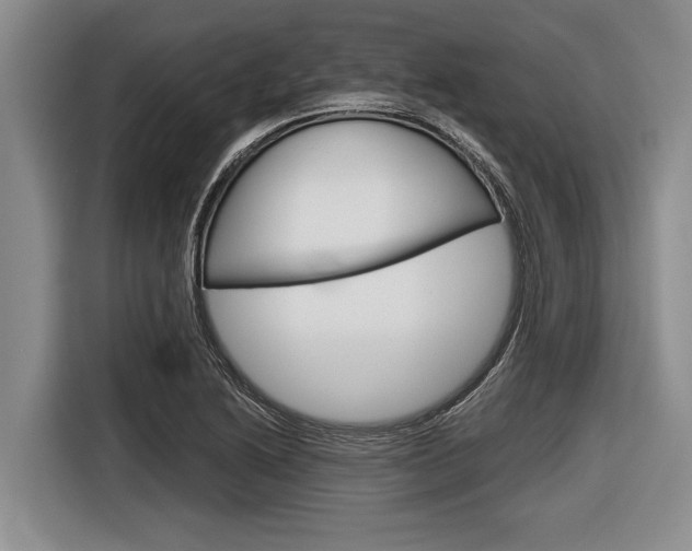 X0000116831222200912181047