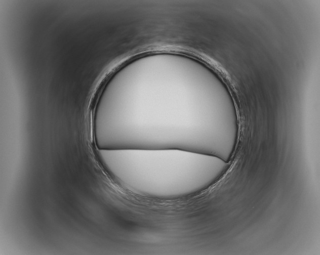 X0000116831223200912181047