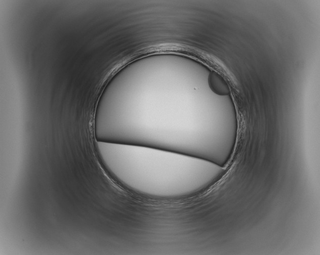 X0000116831225200912181048