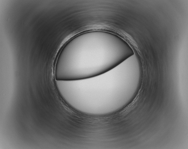 X0000116831226200912181048