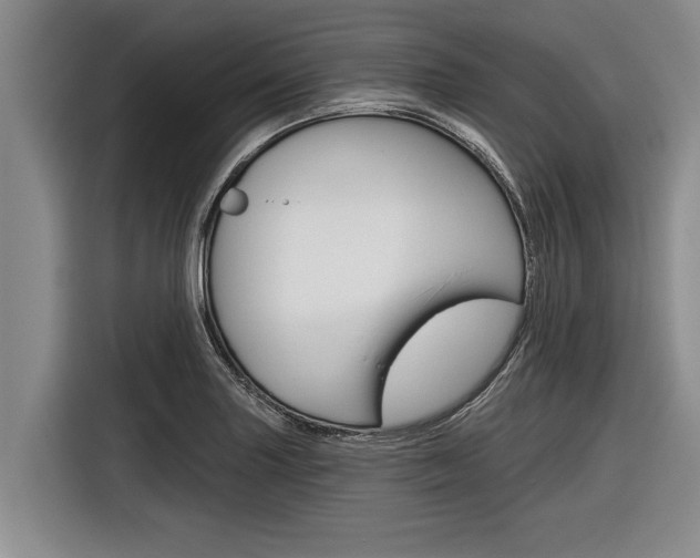 X0000116831227200912181048