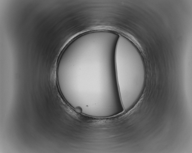 X0000116831228200912181048