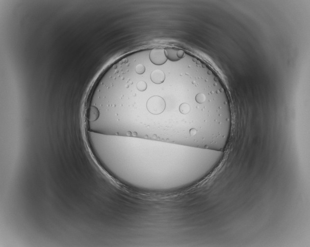 X0000116831235200912181048