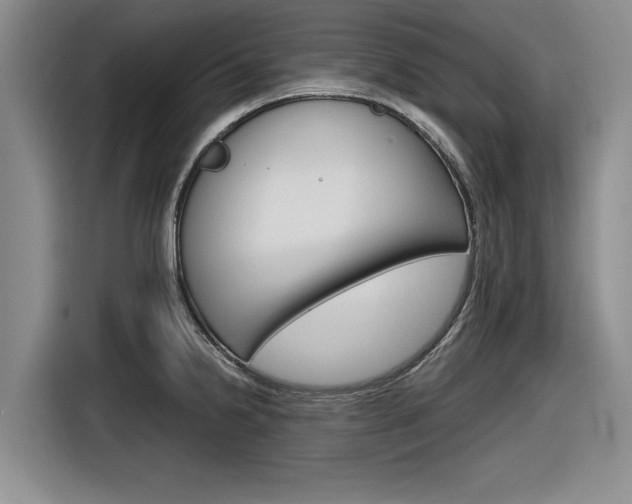 X0000116831238200912181048