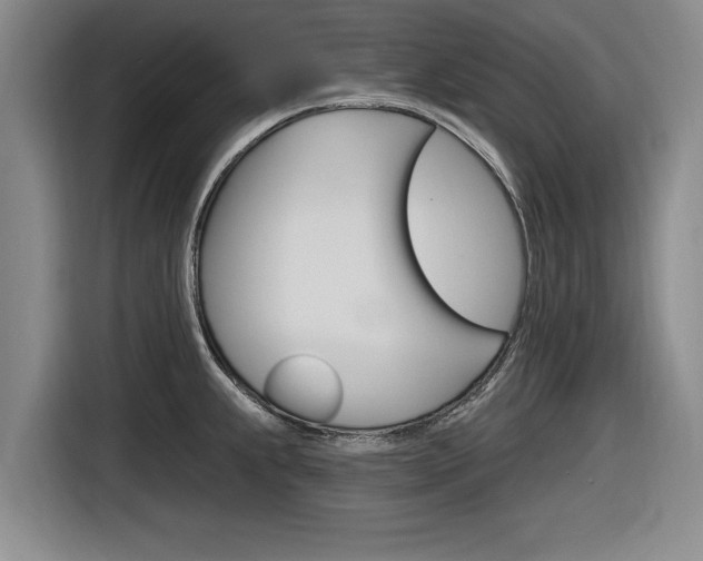 X0000116831239200912181048