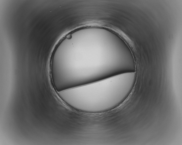 X0000116831240200912181048