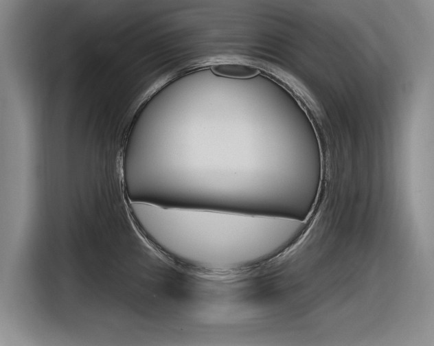 X0000116831241200912181048