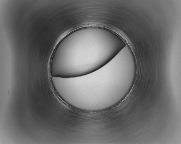X0000116831242200912181048