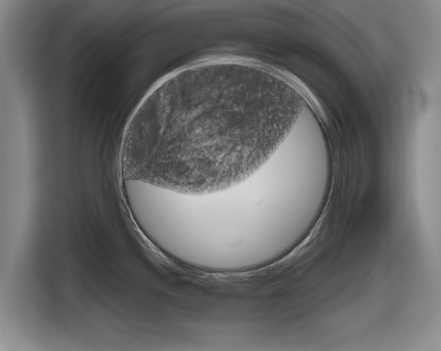 X0000116831244200912181048