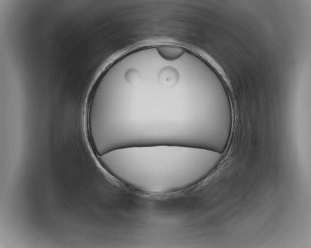 X0000116831245200912181048