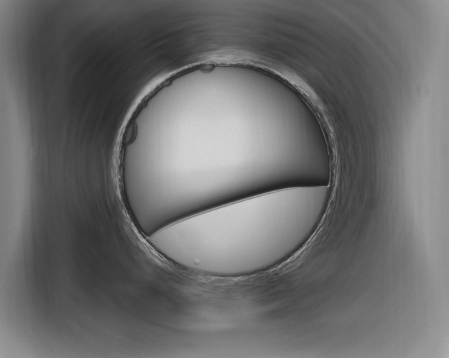 X0000116831248200912181048